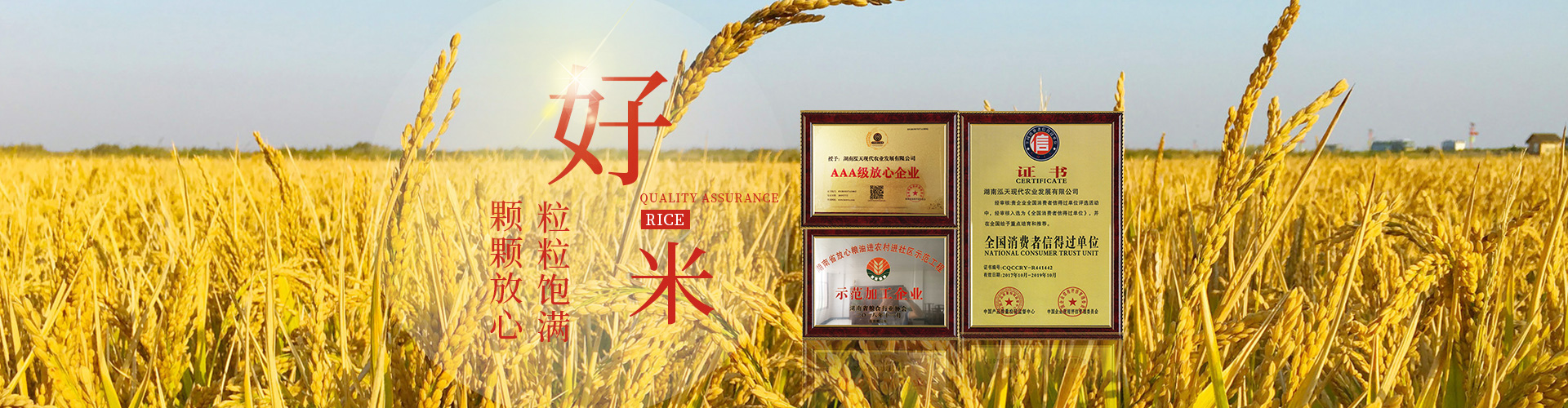 湖南泓天現代農業發展有限公司